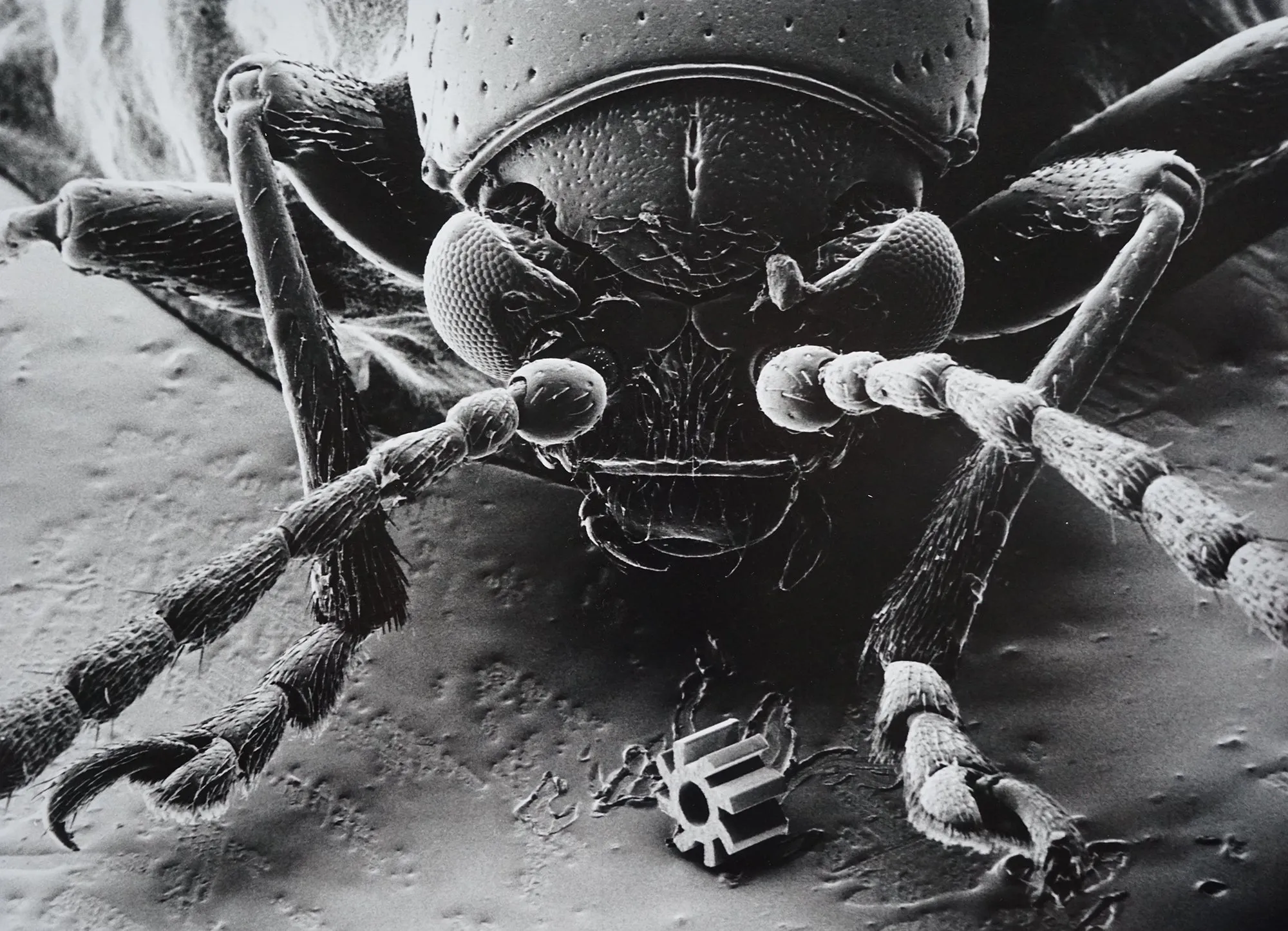 Beetle with Microturbine at Research Center Karlsruhe
