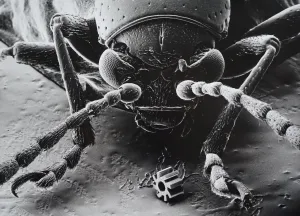 Beetle with Microturbine at Research Center Karlsruhe