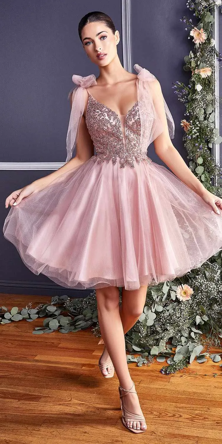 Cinderella Divine CD0174 Short A-Line Dress Lace Applique Tulle Ribbon
