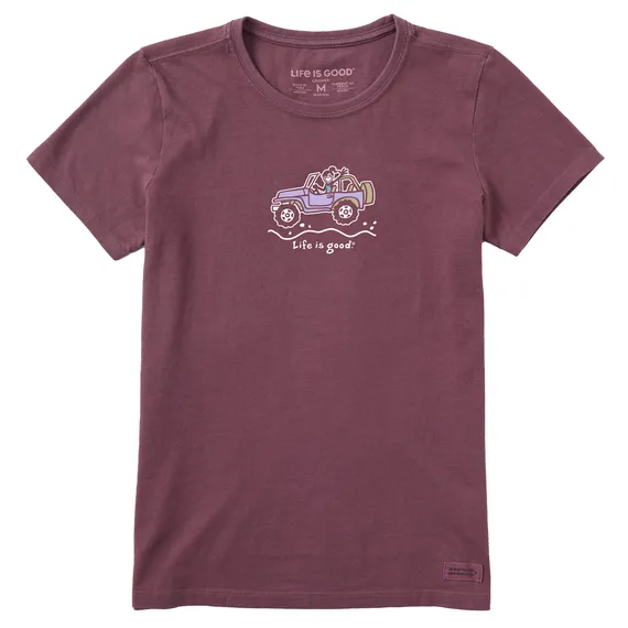 Life Is Good Women's Tee, Mahogany Brown (Size XL)