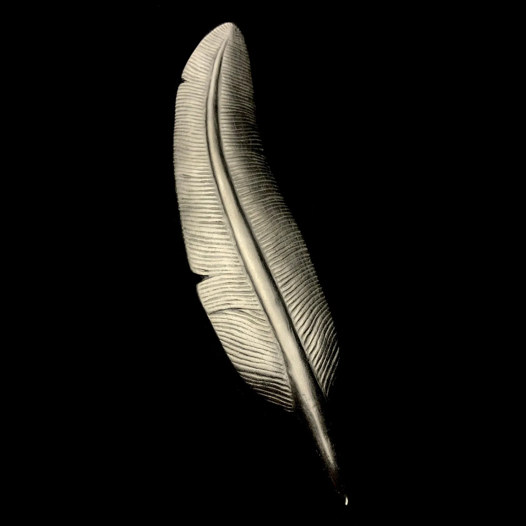 Quill Pencil